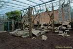 d150327-11184930-100-hellabrunn_neue_menschenaffen-anlagen