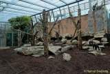 d150327-11184930-100-hellabrunn_neue_menschenaffen-anlagen