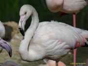Tierpark Hellabrunn am 28.04.2026