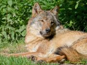 Tierpark Hellabrunn am 28.04.2026