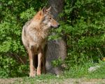 Tierpark Hellabrunn am 28.04.2026