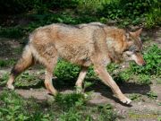 Tierpark Hellabrunn am 28.04.2026