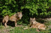 Tierpark Hellabrunn am 28.04.2026
