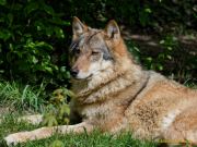 Tierpark Hellabrunn am 28.04.2026