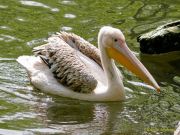 Tierpark Hellabrunn am 28.04.2026