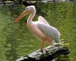 Tierpark Hellabrunn am 28.04.2026