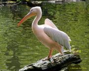 Tierpark Hellabrunn am 28.04.2026