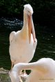 Tierpark Hellabrunn am 28.04.2026