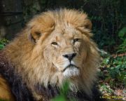 Tierpark Hellabrunn am 28.04.2026