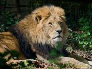 Tierpark Hellabrunn am 28.04.2026