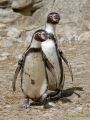 Tierpark Hellabrunn am 28.04.2026