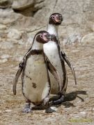 Tierpark Hellabrunn am 28.04.2026