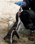 Tierpark Hellabrunn am 28.04.2026