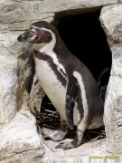 Tierpark Hellabrunn am 28.04.2026