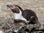 Tierpark Hellabrunn am 28.04.2026