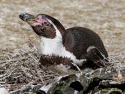 Tierpark Hellabrunn am 28.04.2026