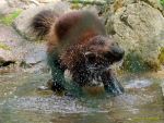 Tierpark Hellabrunn am 28.04.2026