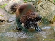 Tierpark Hellabrunn am 28.04.2026