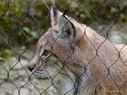 Tierpark Hellabrunn am 28.04.2026