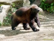 Tierpark Hellabrunn am 28.04.2026