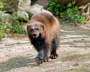 Tierpark Hellabrunn am 28.04.2026