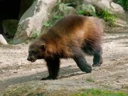 Tierpark Hellabrunn am 28.04.2026