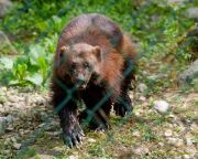 Tierpark Hellabrunn am 28.04.2026