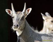 Tierpark Hellabrunn am 28.04.2026