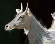 Tierpark Hellabrunn am 28.04.2026