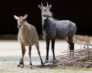 Tierpark Hellabrunn am 28.04.2026