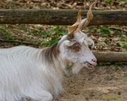 Tierpark Hellabrunn am 28.04.2026