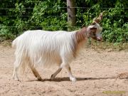 Tierpark Hellabrunn am 28.04.2026