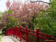 Tierpark Hellabrunn am 28.04.2026