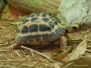 Tierpark Hellabrunn am 28.04.2026