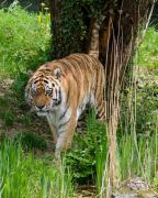 Tierpark Hellabrunn am 28.04.2026