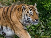 Tierpark Hellabrunn am 28.04.2026