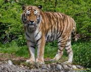 Tierpark Hellabrunn am 28.04.2026