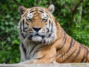 Tierpark Hellabrunn am 28.04.2026