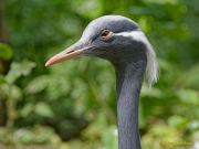Tierpark Hellabrunn am 28.04.2026