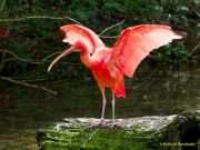 Tierpark Hellabrunn am 28.04.2026