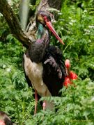 Tierpark Hellabrunn am 28.04.2026