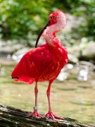 Tierpark Hellabrunn am 28.04.2026