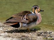 Tierpark Hellabrunn am 28.04.2026