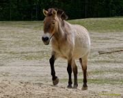 Tierpark Hellabrunn am 28.04.2026