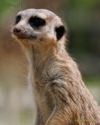 Tierpark Hellabrunn am 28.04.2026