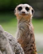 Tierpark Hellabrunn am 28.04.2026