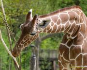 Tierpark Hellabrunn am 28.04.2026