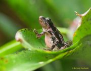 Tierpark Hellabrunn am 28.04.2026