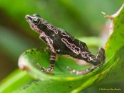 Tierpark Hellabrunn am 28.04.2026