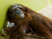 Tierpark Hellabrunn am 28.04.2026